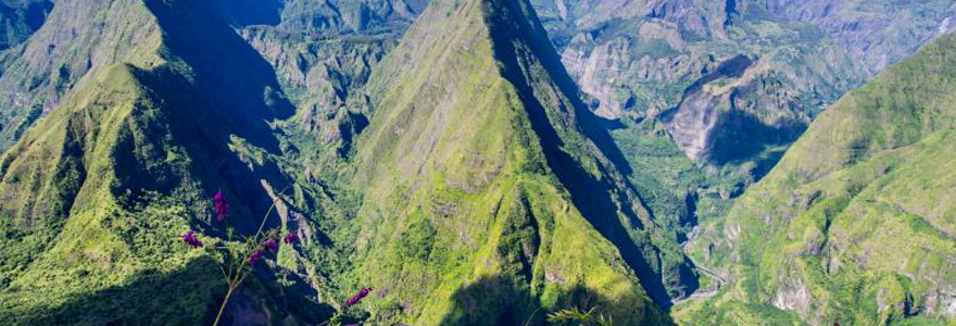 meilleures offres de la Réunion